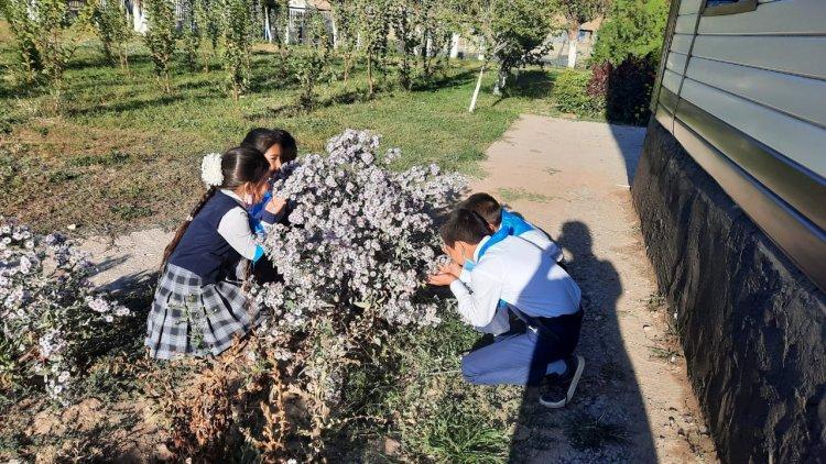 18 қыркүйек күні "World Clean up day" "Birge-taza Qazaqstan" бүкіләлемдік тазалық акциясы аясында "Табиғатты аялайық" атты іс-шарасы өткізілді.